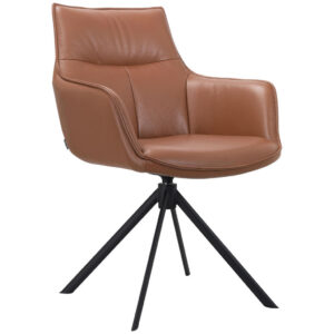 Novel ŽIDLE S PODRUČKAMI