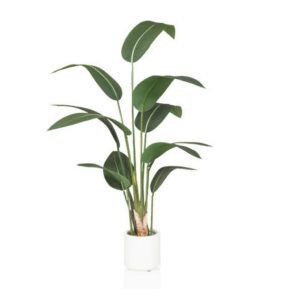 MID.YOU UMĚLÁ ROSTLINA strelície