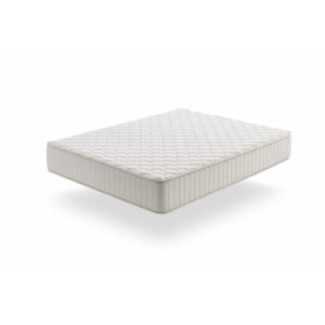 Moonia MATRACE Olympus